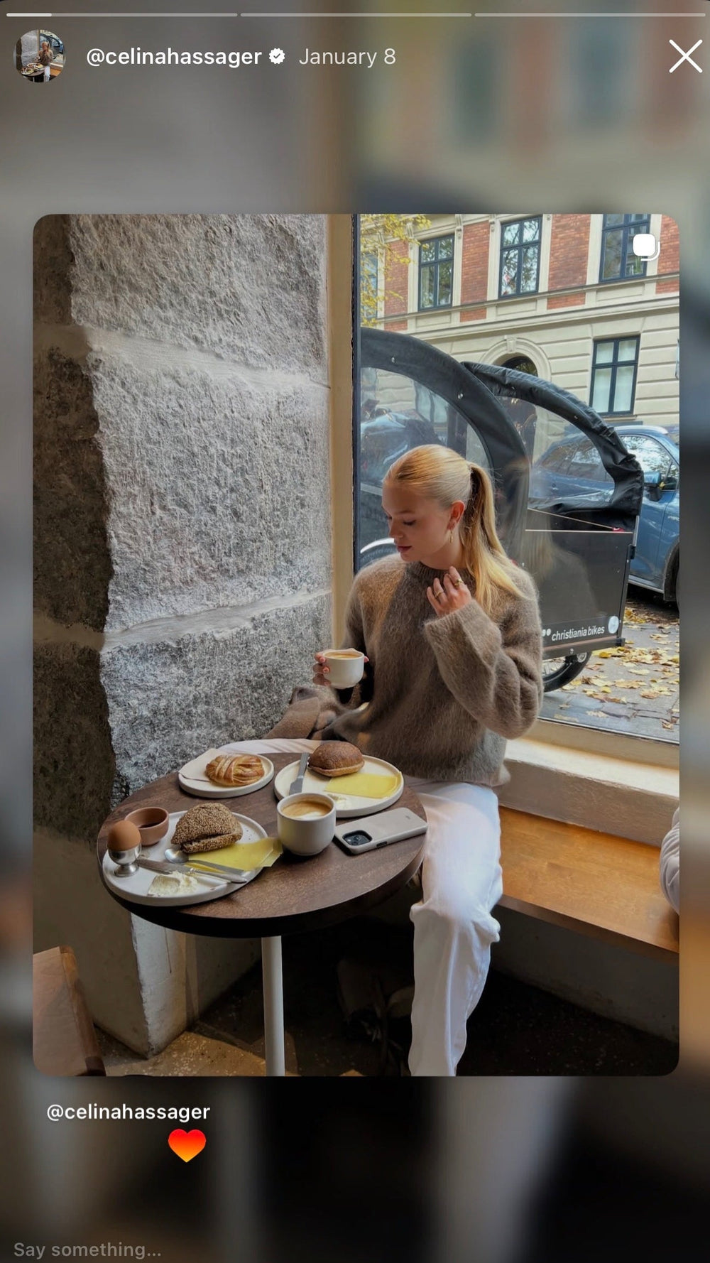 Berry Denmark – ispirazione per custodie eleganti, custodie iPhone personali e accessori